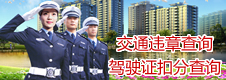  海南省交通违法信息查询